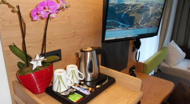 Двухместный номер Comfort Hotel Garni Siegmundshof - inclusive Joker Card im Sommer