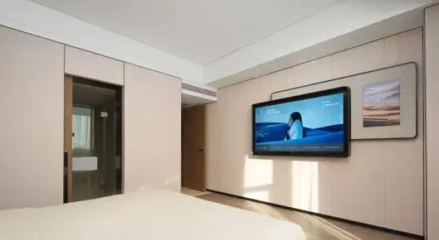 Люкс Atour X Hotel Changchun Zoological and Botanical Park