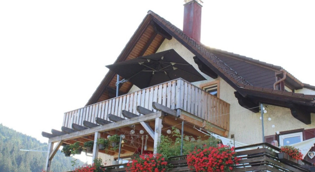 Picturesque Apartment in Baiersbronn With Bar