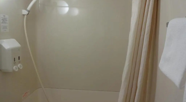 Двухместный номер Standard Hotel New Green