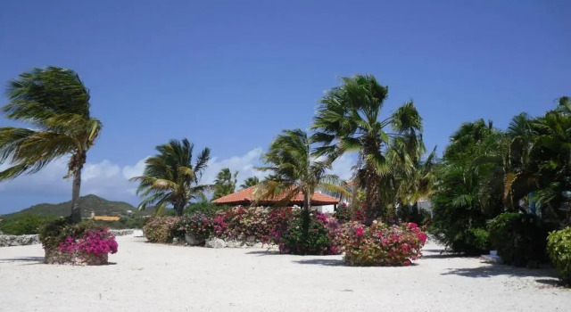 Апартаменты Oceanfront Townhome in Marazul Dive Resort