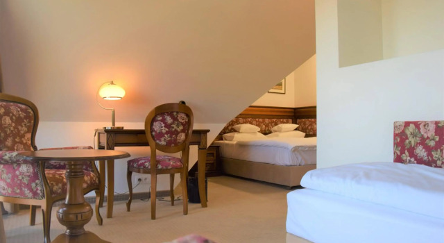 Hotel Paryski Art & Business Zakopane - Basen Jacuzzi Sauna Małpi Gaj, Забронировать Отель Отели Высоких Татр 4 звезды, 4*