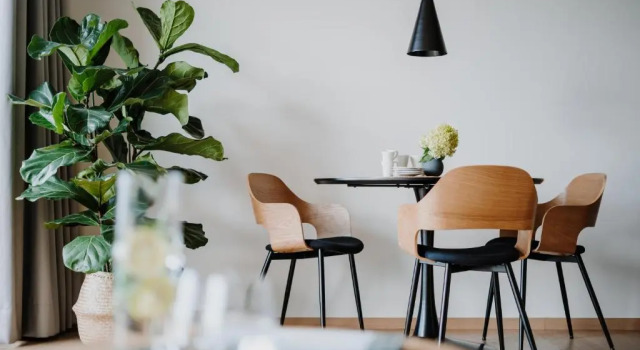 Апартаменты Standard farnhaus