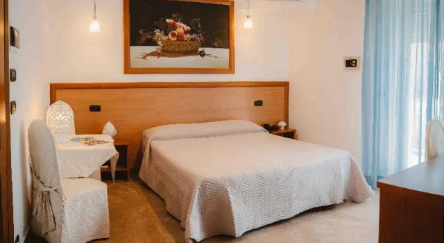 Одноместный номер Business Hotel Accord Le Rose
