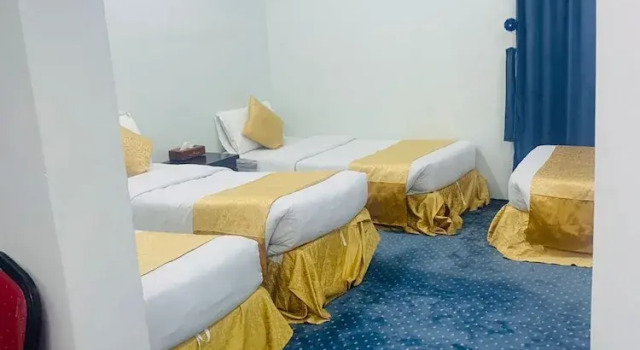 Семейный номер Standard Дуплекс с видом на город Lina hotel