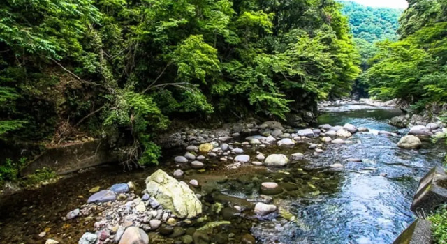 Полулюкс с видом на реку LiVEMAX RESORT Shizuoka Amagiyugashima