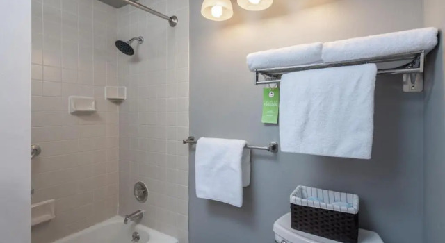 Четырёхместный номер Standard Tamarack Lodge Sun Valley