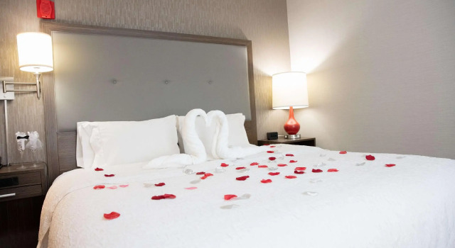 Двухместный номер Standard Hampton Inn Toledo Oregon