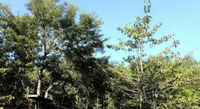 Camp Alfredo Adventure Resort, Prenota Resort Hotel a Iloilo con parcheggio, Parcheggio