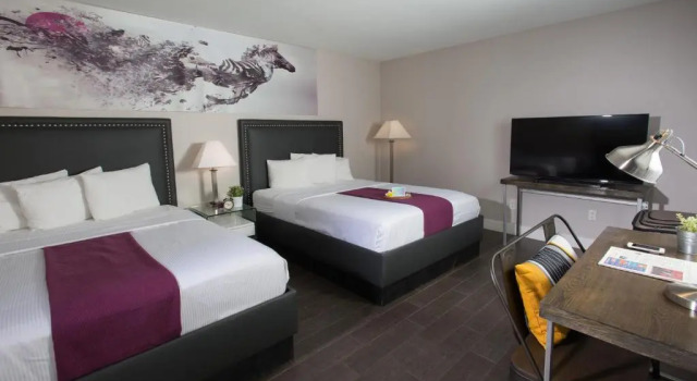 Четырёхместный номер Standard Hotel Iris - San Diego