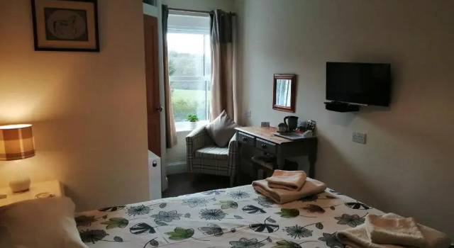 Двухместный номер Standard Lion Hotel