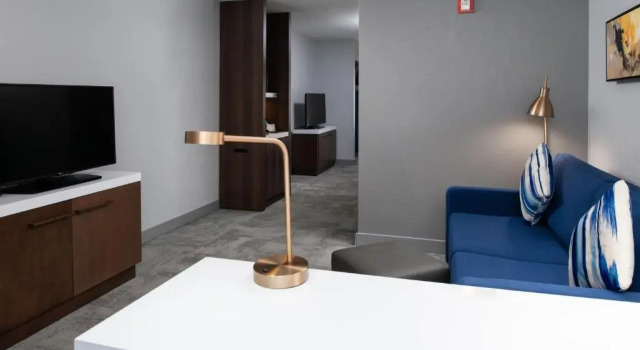 Полулюкс Hilton Garden Inn Baton Rouge Airport