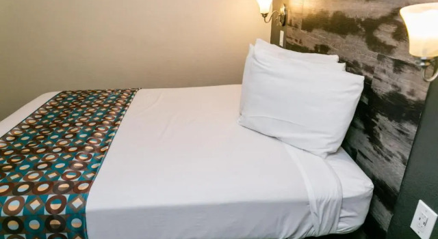 Номер Standard Anaheim Discovery Inn and Suites