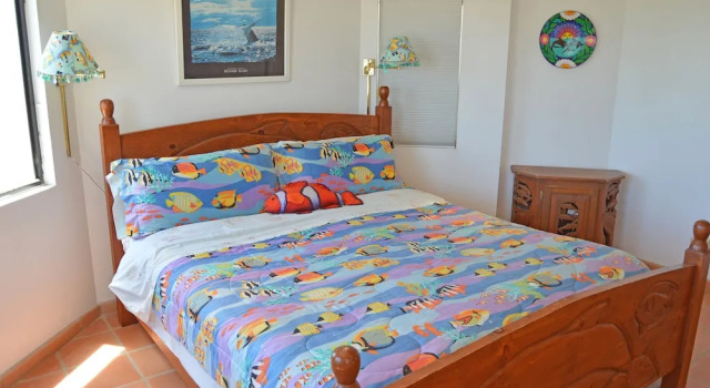 Whale of a Tale, Book Hotel Puerto Penasco Sonora