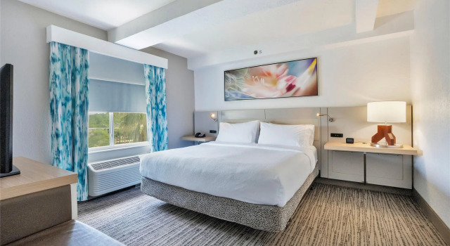 Двухместный люкс c 1 комнатой Hilton Garden Inn Jacksonville Airport