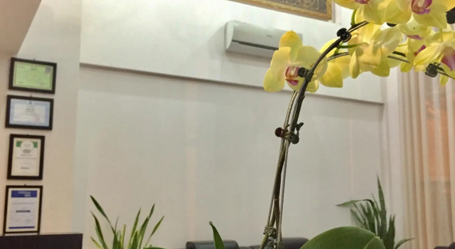 Reasmey Cheanich Hotel, Book Hotel Kampong Cham Cambodia