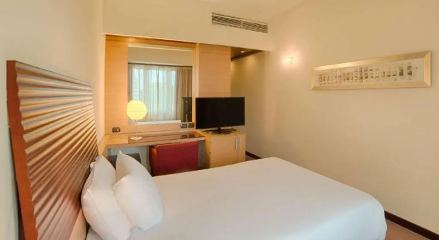 Basic Individual room with view NH Milano 2