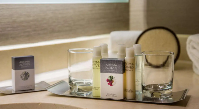 Люкс с 2 комнатами DoubleTree by Hilton Chicago - Oak Brook