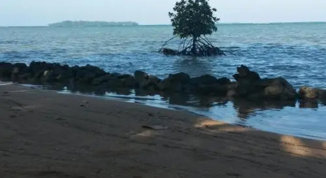 Asari Timo Beach