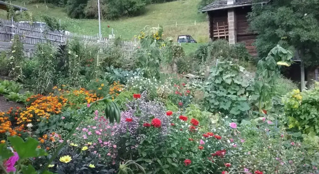 Шале Charming Chalet Near Trails