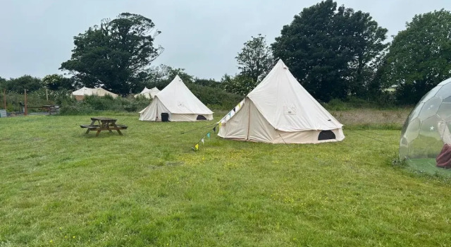 Номер Standard Dog Friendly Cozy Bell Tent With Log Burner
