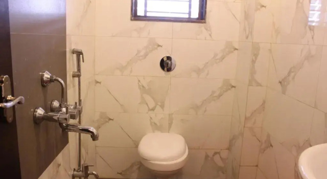 Номер Standard Hotel Sai Ramanand