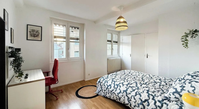 Cozy Room in a Friendly Shared Flat - Lyon 8th, Забронировать Апартаменты/квартира Апартаменты Лиона, рядом с Cinema and Miniature Museum, Апартаменты/квартира