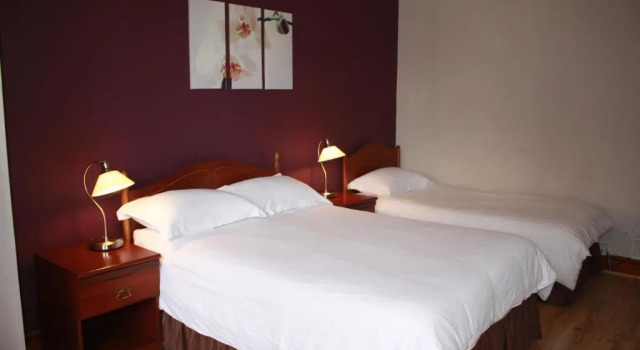 Номер Standard Madonna Halley Hotel