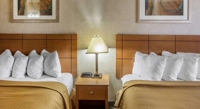Четырёхместный номер Standard Quality Inn at Collins Road - Cedar Rapids