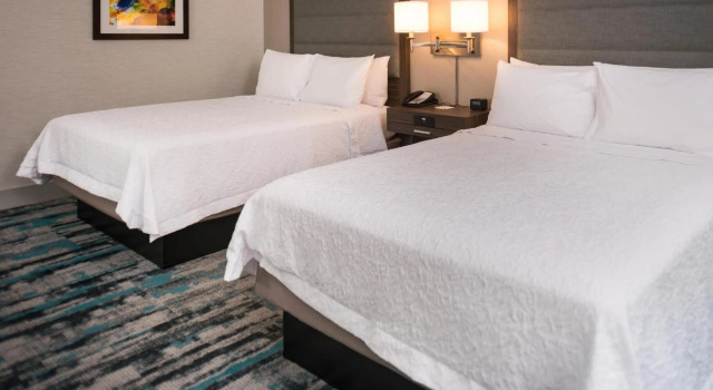 Четырёхместный номер Standard Hampton Inn & Suites Olympia Lacey, Wa