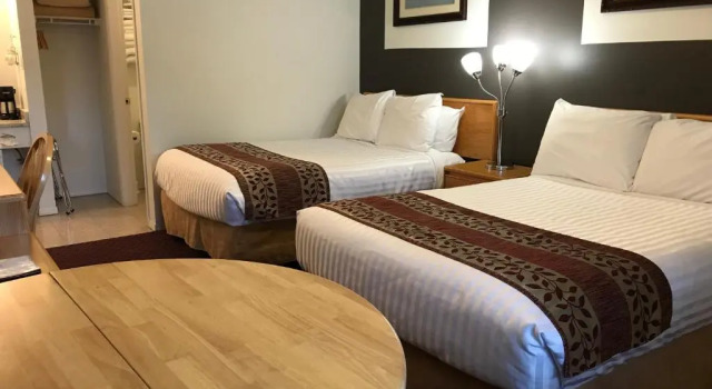 Четырёхместный номер Standard Cactus Tree Inn