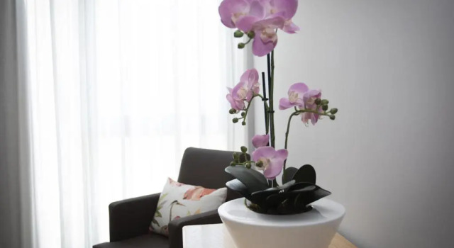 Двухместный номер Superior Hotel Novoa