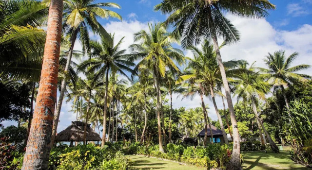 Бунгало Coconut Beach Resort