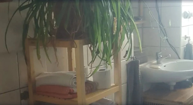 LoftFarm
