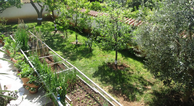 Apartment Abramovic