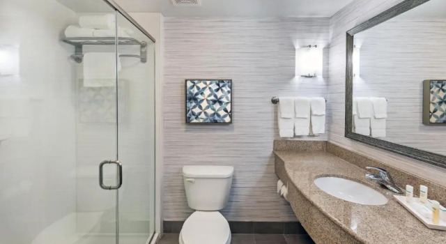Люкс Hilton Garden Inn Aiken