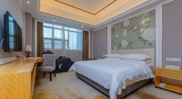 Люкс Business Vienna Hotel Shenzhen East Railway Station