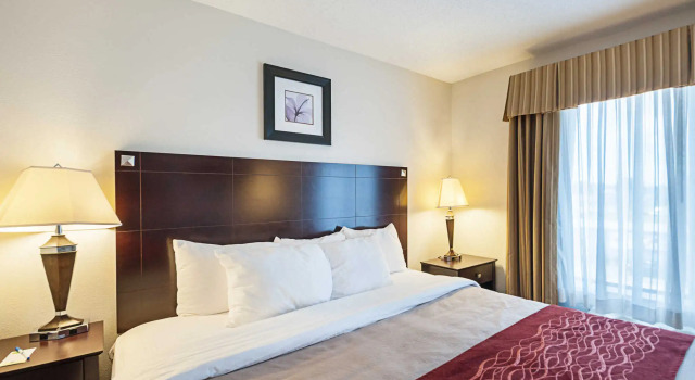 Номер Standard Comfort Inn & Suites Cambridge