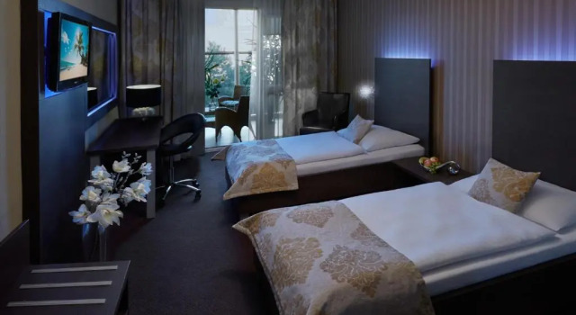 Camera Business HOTEL CENTRUM with free parking