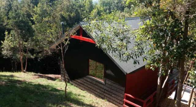 Бунгало Standard Parque Natural Rio Bravo Lodge
