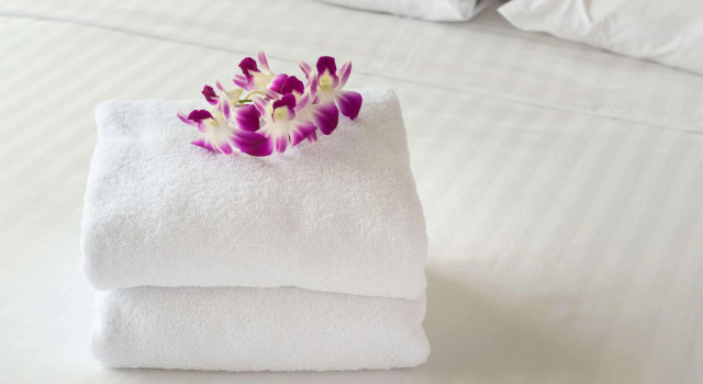 Двухместный номер Standard Magnuson Hotel Bradenton