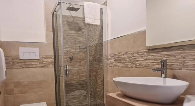Двухместный номер Basic Hotel Alexander