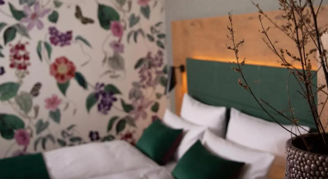Люкс Deluxe Hotel Elfbuchen