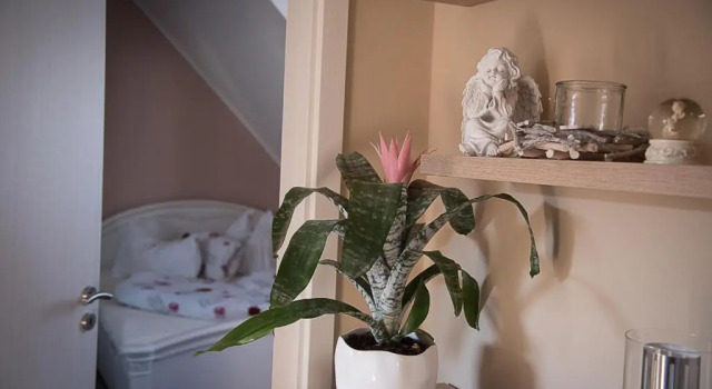 Апартаменты Superior Orchidea Apartman