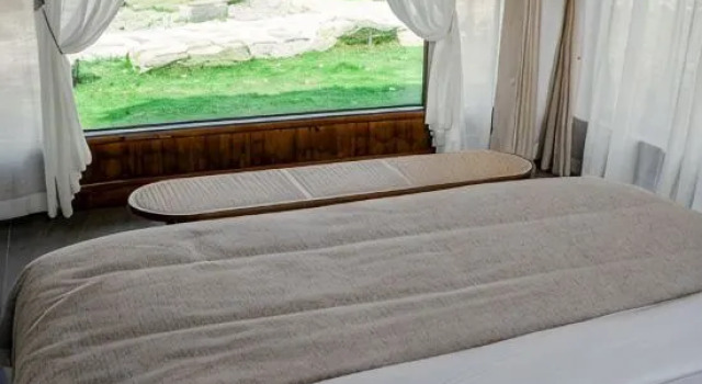 Двухместный люкс с видом на сад WillowRetreat - Zhenshancun Branch