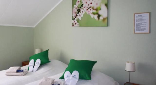 Номер Standard Renes B&B