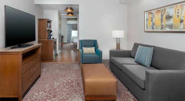 Одноместный люкс Hilton Garden Inn Wayne