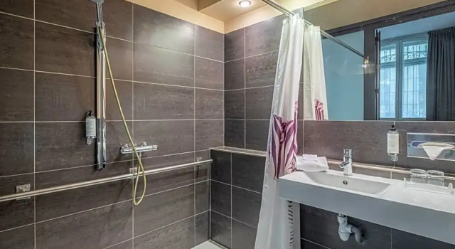 Номер Standard Цокольный этаж Grand Hotel Francais