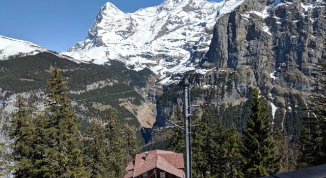 Номер Standard Hotel Alpenblick Mürren