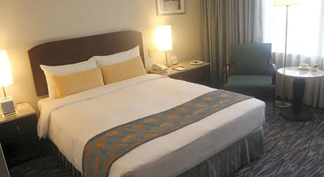 Номер Deluxe Chateau De Chine Hotel Taoyuan